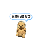 ちびみ 日常会話スタンプ（個別スタンプ：18）