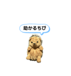 ちびみ 日常会話スタンプ（個別スタンプ：20）