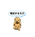 ちびみ 日常会話スタンプ（個別スタンプ：22）
