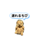 ちびみ 日常会話スタンプ（個別スタンプ：24）