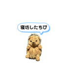 ちびみ 日常会話スタンプ（個別スタンプ：25）
