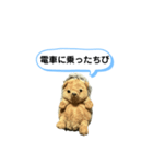 ちびみ 日常会話スタンプ（個別スタンプ：26）