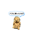 ちびみ 日常会話スタンプ（個別スタンプ：27）