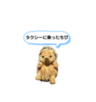 ちびみ 日常会話スタンプ（個別スタンプ：28）