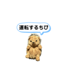 ちびみ 日常会話スタンプ（個別スタンプ：29）