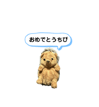 ちびみ 日常会話スタンプ（個別スタンプ：30）