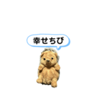 ちびみ 日常会話スタンプ（個別スタンプ：31）