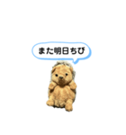ちびみ 日常会話スタンプ（個別スタンプ：32）