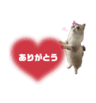 濵﨑家♡（個別スタンプ：3）
