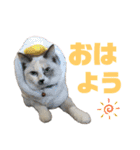 濵﨑家♡（個別スタンプ：5）