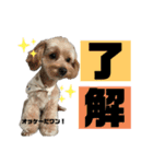 濵﨑家♡（個別スタンプ：14）