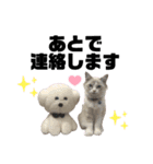 濵﨑家♡（個別スタンプ：21）