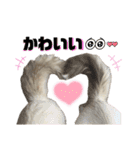 濵﨑家♡（個別スタンプ：24）