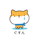 明るいワンコスタンプ（個別スタンプ：21）