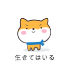 明るいワンコスタンプ（個別スタンプ：24）