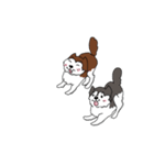 兄妹わんこ（個別スタンプ：1）