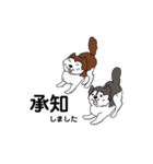 兄妹わんこ（個別スタンプ：3）