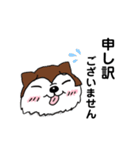兄妹わんこ（個別スタンプ：5）