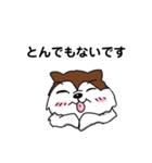兄妹わんこ（個別スタンプ：7）