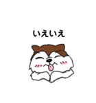 兄妹わんこ（個別スタンプ：8）
