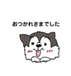 兄妹わんこ（個別スタンプ：9）