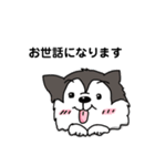兄妹わんこ（個別スタンプ：10）