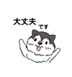 兄妹わんこ（個別スタンプ：11）