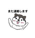 兄妹わんこ（個別スタンプ：12）