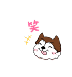 兄妹わんこ（個別スタンプ：13）