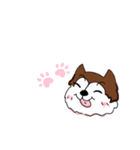 兄妹わんこ（個別スタンプ：15）