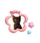 黒猫ちゃんの冬（個別スタンプ：1）