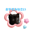 黒猫ちゃんの冬（個別スタンプ：4）