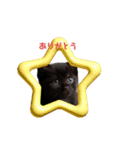 黒猫ちゃんの冬（個別スタンプ：5）