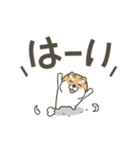 うごく！しば犬の毎日デカ文字スタンプ（個別スタンプ：2）