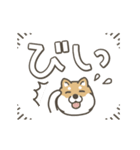 うごく！しば犬の毎日デカ文字スタンプ（個別スタンプ：5）