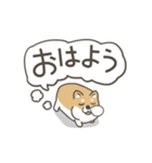 うごく！しば犬の毎日デカ文字スタンプ（個別スタンプ：15）