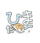 うごく！しば犬の毎日デカ文字スタンプ（個別スタンプ：19）