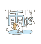 うごく！しば犬の毎日デカ文字スタンプ（個別スタンプ：21）