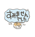 うごく！しば犬の毎日デカ文字スタンプ（個別スタンプ：24）