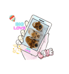 うるぽのシーズー2025（個別スタンプ：3）
