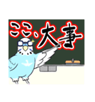 ふんわり共感セキセイインコ3（個別スタンプ：7）