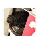 ビビ多め（個別スタンプ：7）
