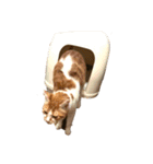 ビビ多め（個別スタンプ：22）