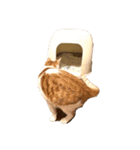 ビビ多め（個別スタンプ：23）