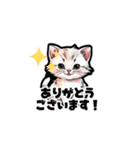 【敬語で挨拶】ネコの使いやすいスタンプ（個別スタンプ：1）