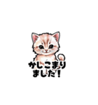【敬語で挨拶】ネコの使いやすいスタンプ（個別スタンプ：4）
