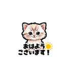 【敬語で挨拶】ネコの使いやすいスタンプ（個別スタンプ：6）