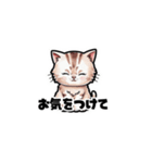 【敬語で挨拶】ネコの使いやすいスタンプ（個別スタンプ：9）