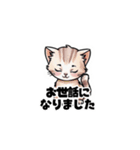 【敬語で挨拶】ネコの使いやすいスタンプ（個別スタンプ：10）
