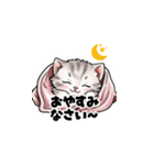 【敬語で挨拶】ネコの使いやすいスタンプ（個別スタンプ：12）